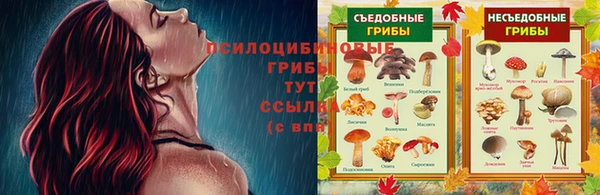 мяу мяу мука Абаза