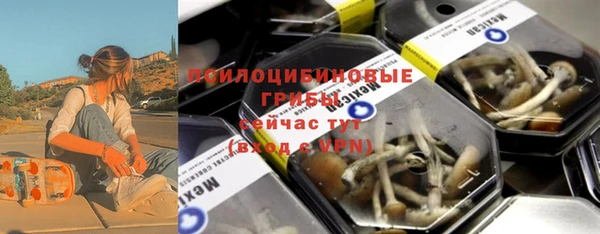 ПСИЛОЦИБИНОВЫЕ ГРИБЫ Абдулино