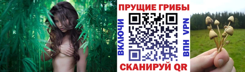 Галлюциногенные грибы Magic Shrooms  маркетплейс наркотические препараты  Иркутск 